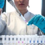 “F.A.T. Laboratories” – In vitro, in vivo, in silico approaches for the development of drugs, generics, and supergenerics